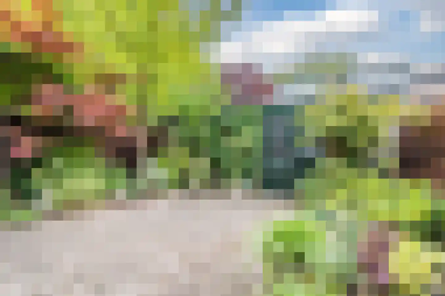 Gruttostraat 29 Bleiswijk thumbnail 5