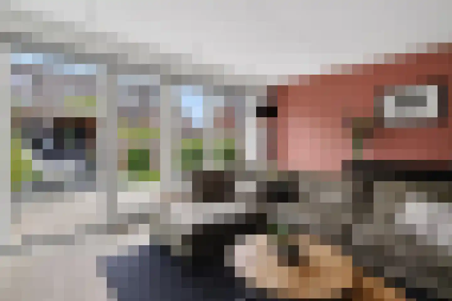 Gruttostraat 29 Schoonhoven thumbnail 10