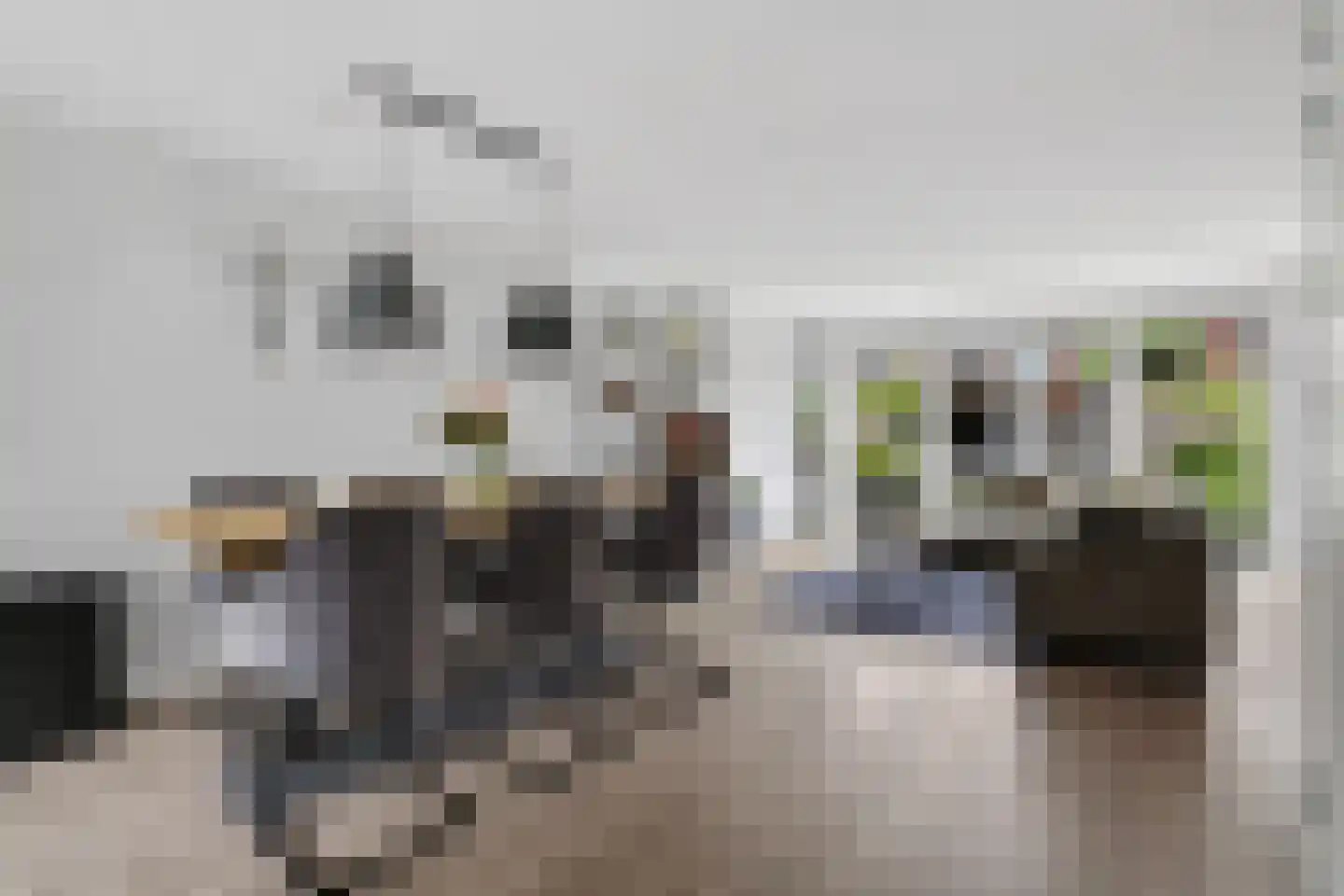 Gruttostraat 29 Schoonhoven thumbnail 14