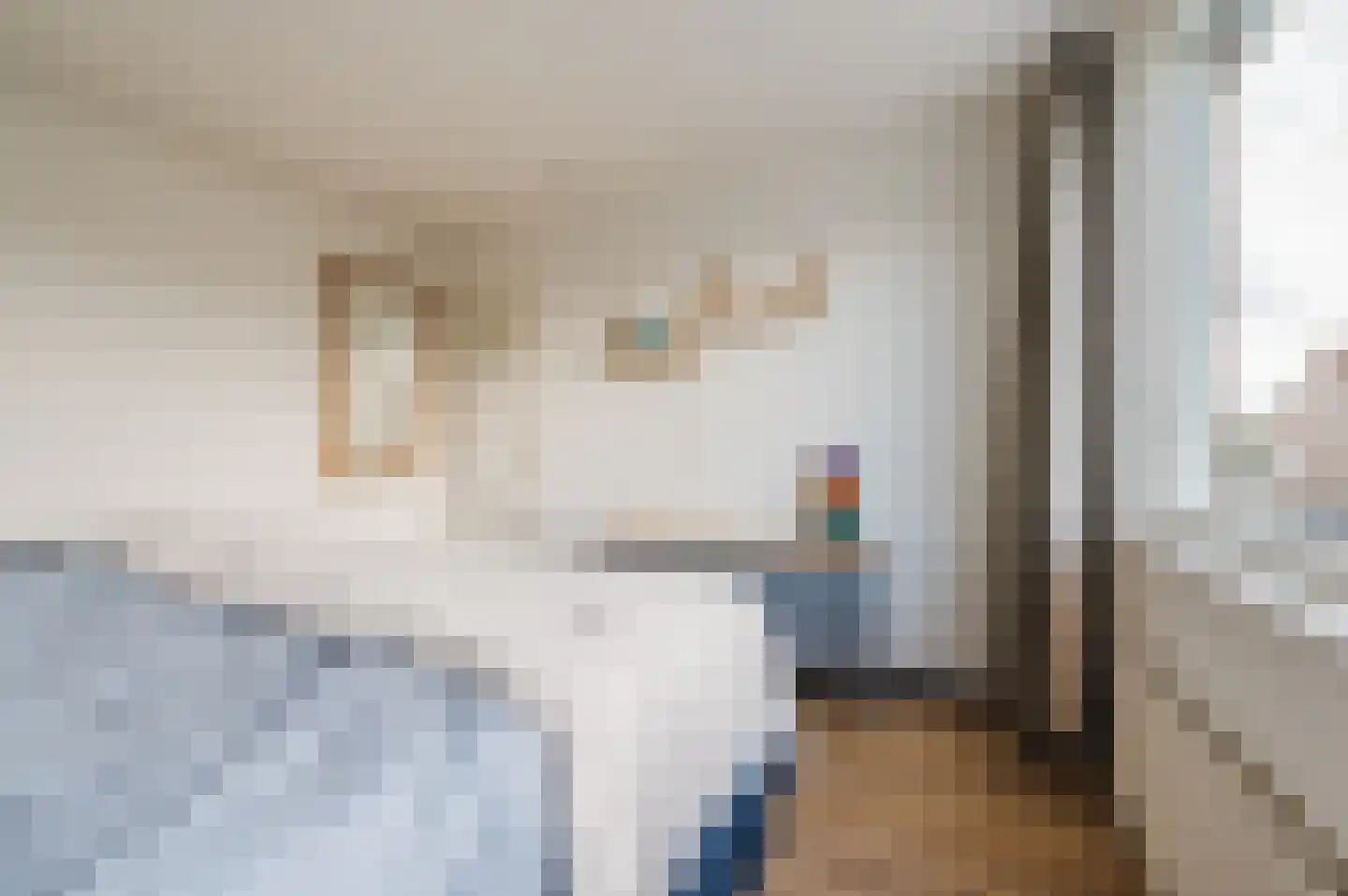 Gruttostraat 3 Geldrop thumbnail 25