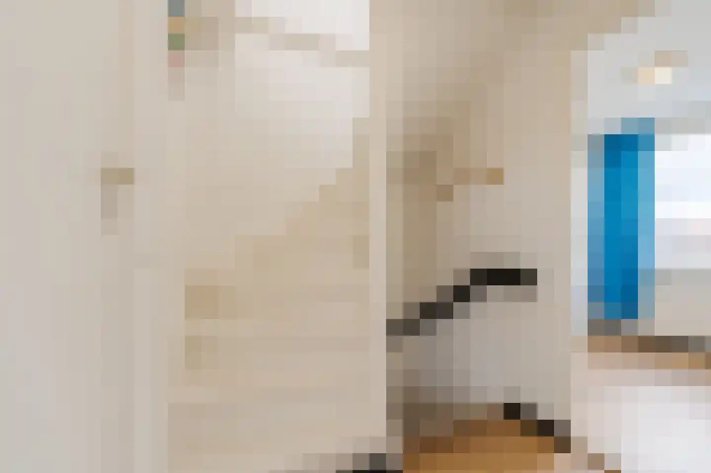 Gruttostraat 3 Geldrop thumbnail 33
