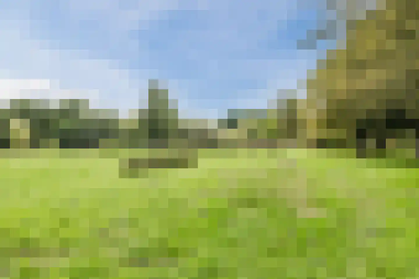 Gruttostraat 3 Geldrop thumbnail 53
