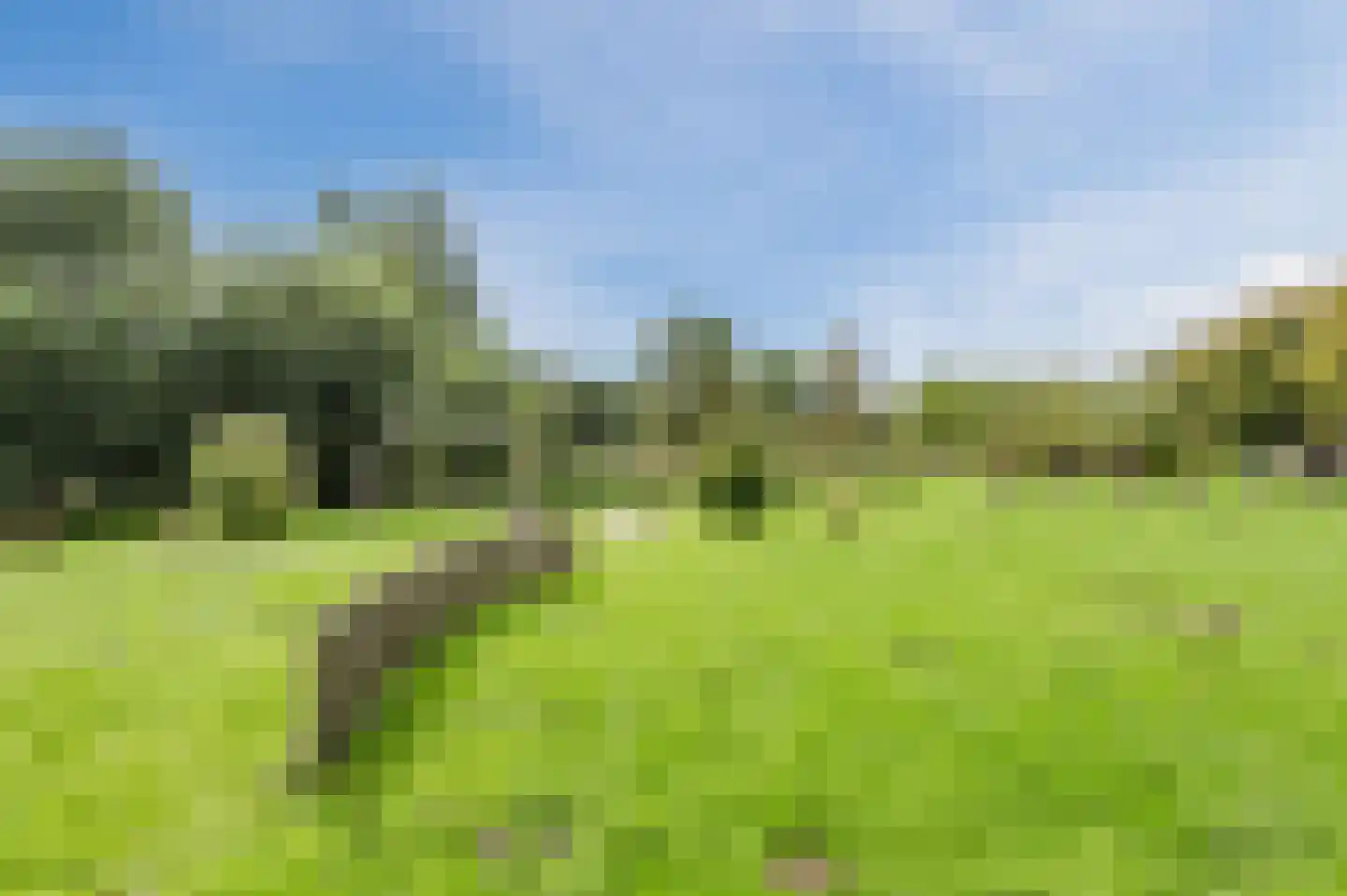 Gruttostraat 3 Geldrop thumbnail 54