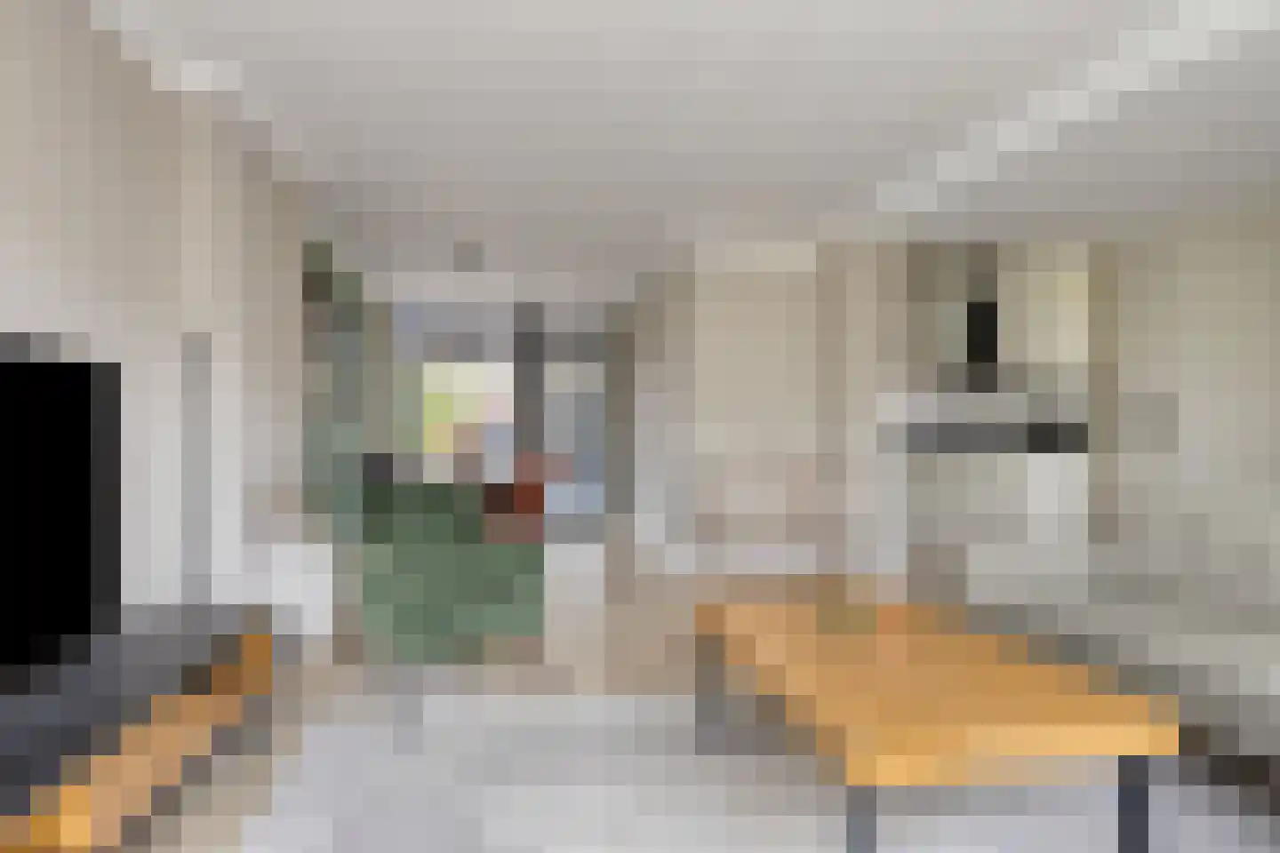 Gruttostraat 3 Vianen thumbnail 10