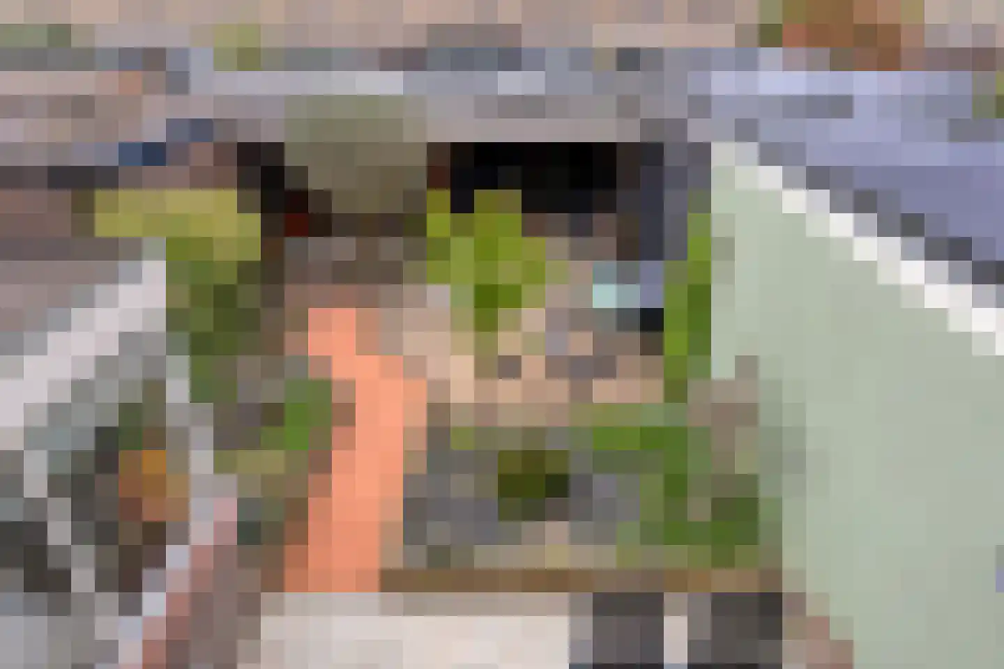 Gruttostraat 3 Vianen thumbnail 24