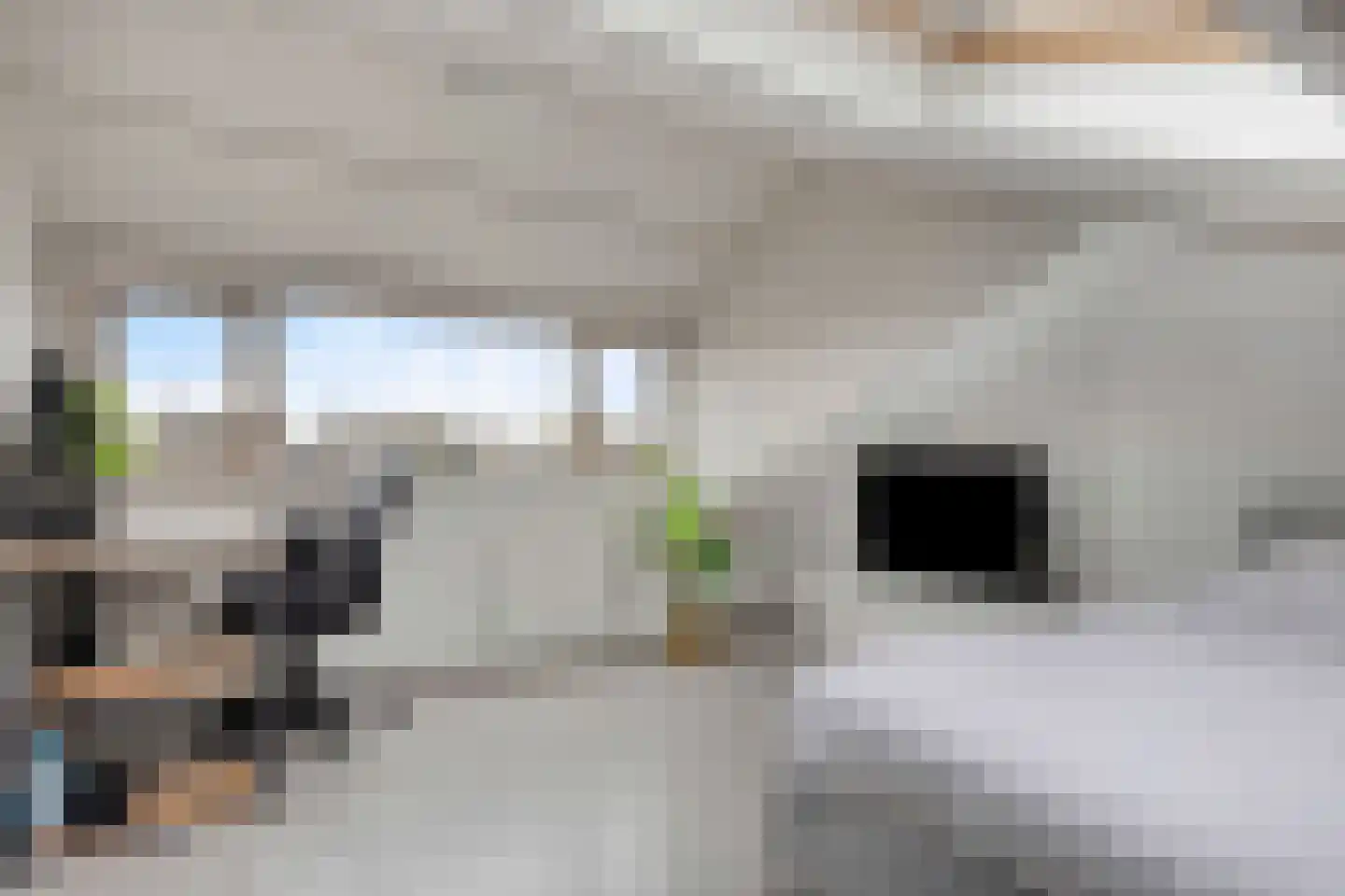 Gruttostraat 3 Vianen thumbnail 36