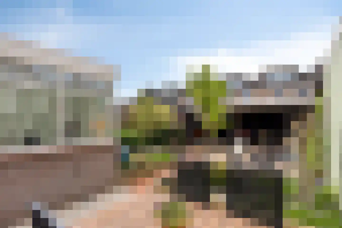 Gruttostraat 3 Vianen thumbnail 40