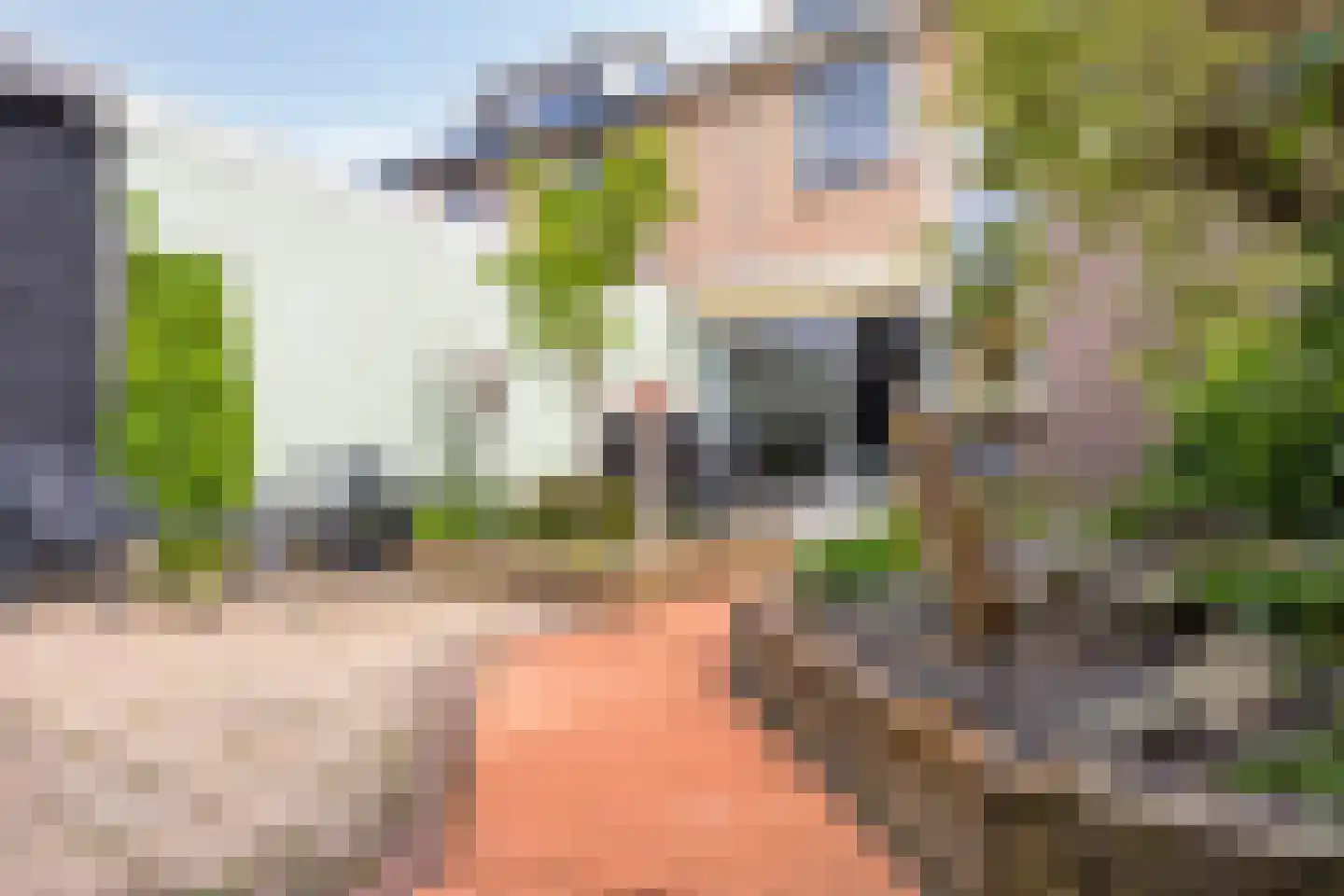 Gruttostraat 3 Vianen thumbnail 43