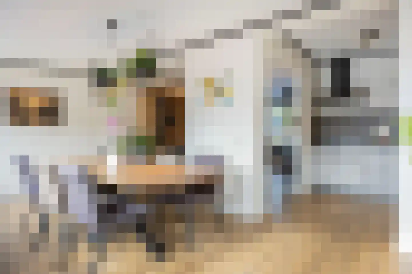 Gruttostraat 3 Wijchen thumbnail 9