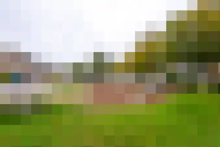 Gruttostraat 30 Groot-Ammers thumbnail 37