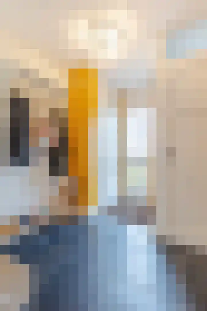 Gruttostraat 30 Groot-Ammers thumbnail 6