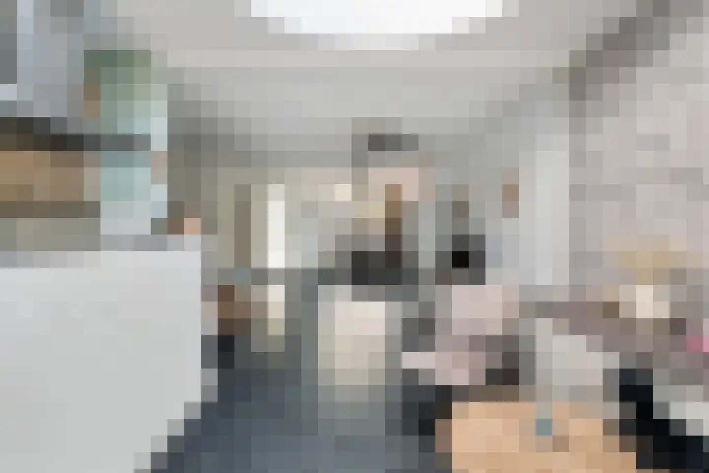 Gruttostraat 31 Groot-Ammers thumbnail 13