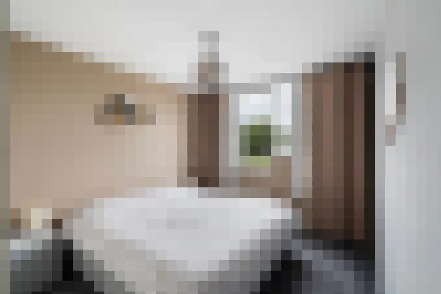 Gruttostraat 31 Groot-Ammers thumbnail 19