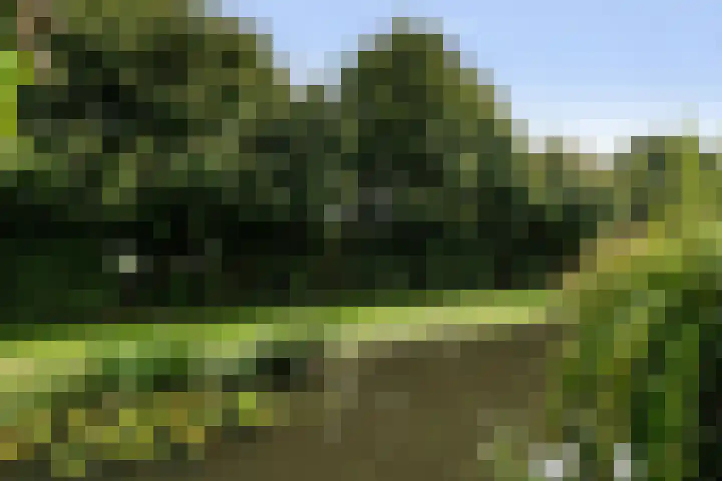 Gruttostraat 31 Groot-Ammers thumbnail 38