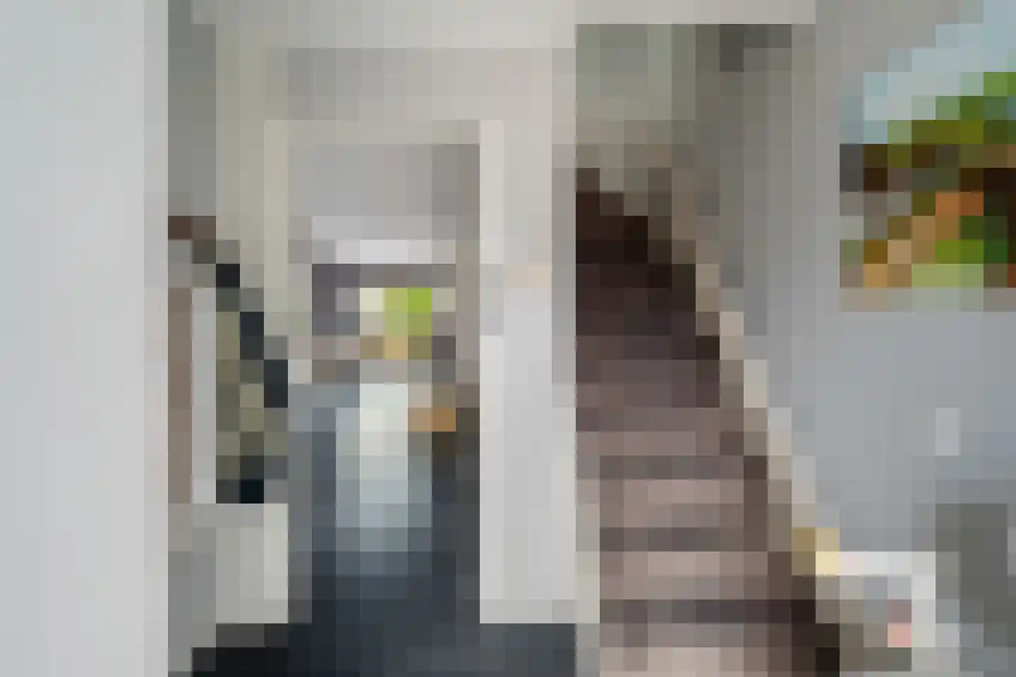 Gruttostraat 31 Groot-Ammers thumbnail 5
