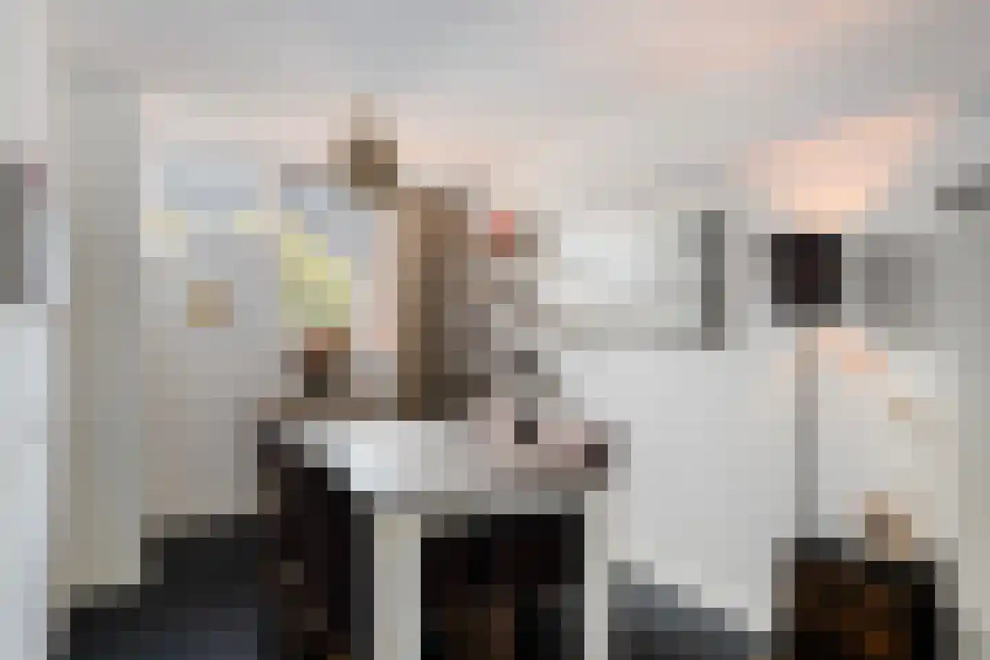 Gruttostraat 31 Groot-Ammers thumbnail 8