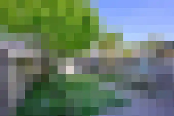Gruttostraat 35 Brummen thumbnail 15