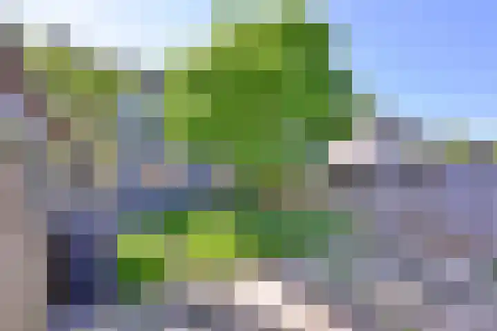 Gruttostraat 35 Brummen thumbnail 17