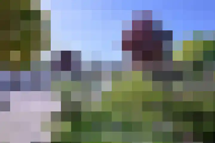 Gruttostraat 35 Brummen thumbnail 5
