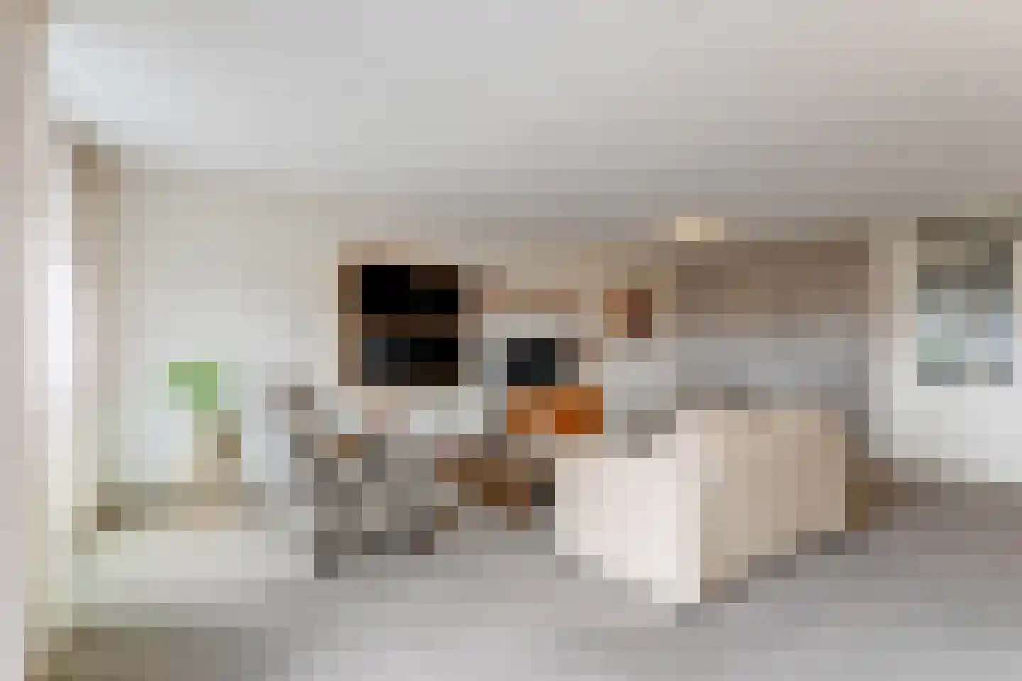 Gruttostraat 39 Spanbroek thumbnail 19