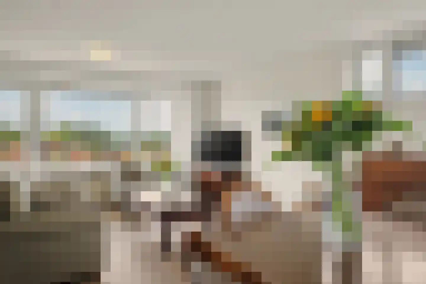 Gruttostraat 39 Venlo thumbnail 10