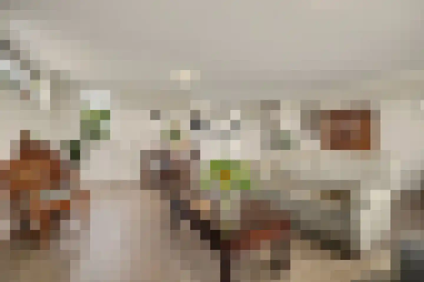 Gruttostraat 39 Venlo thumbnail 8