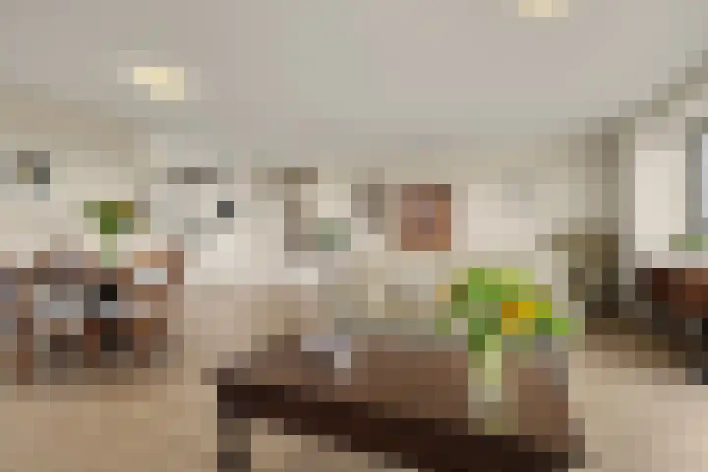 Gruttostraat 39 Venlo thumbnail 9