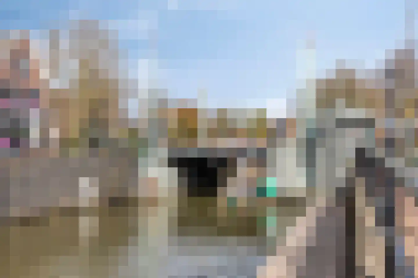 Gruttostraat 4 BS Utrecht thumbnail 33