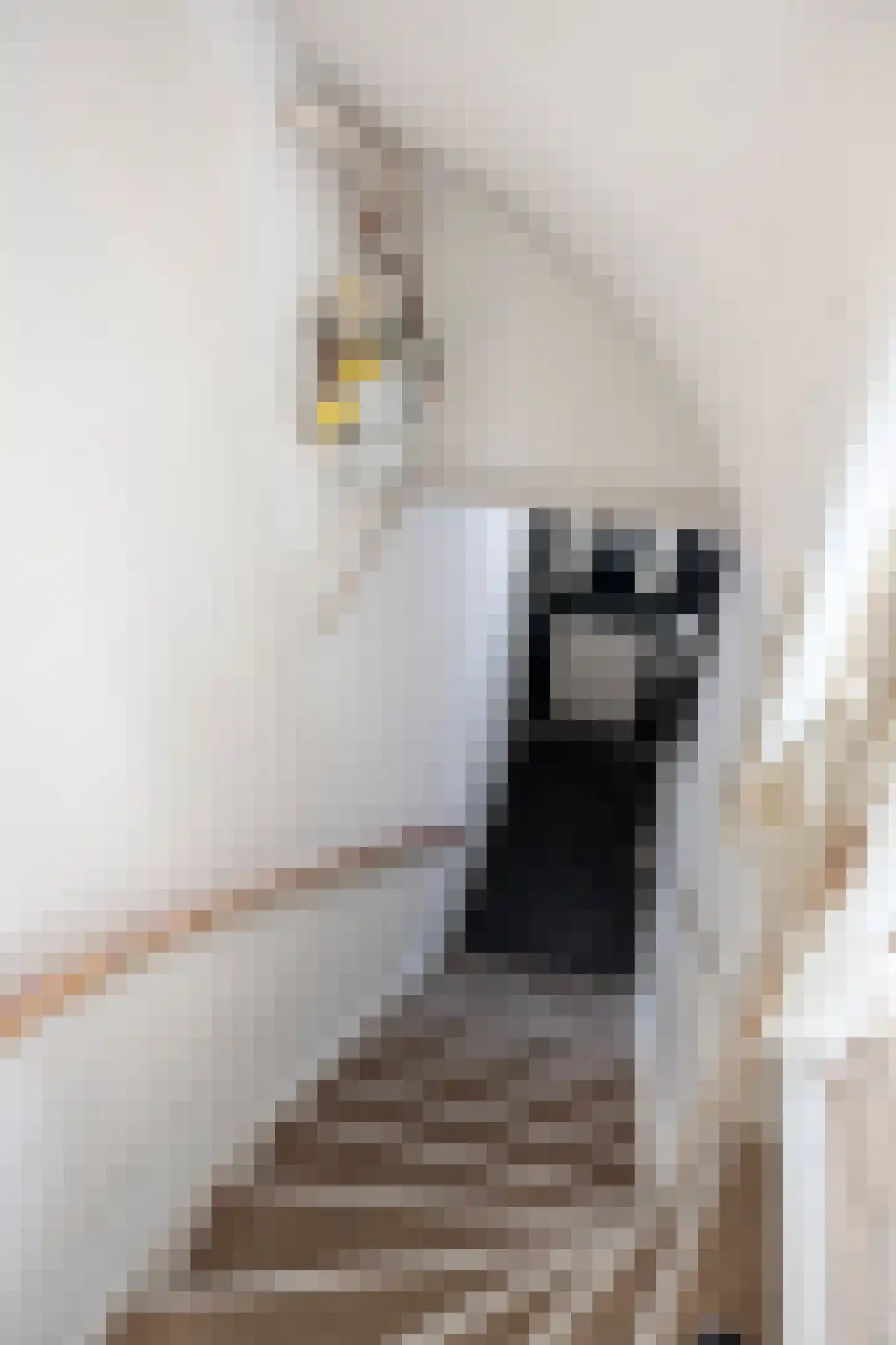 Gruttostraat 4 BS Utrecht thumbnail 9