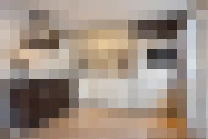 Gruttostraat 4 Epe thumbnail 10