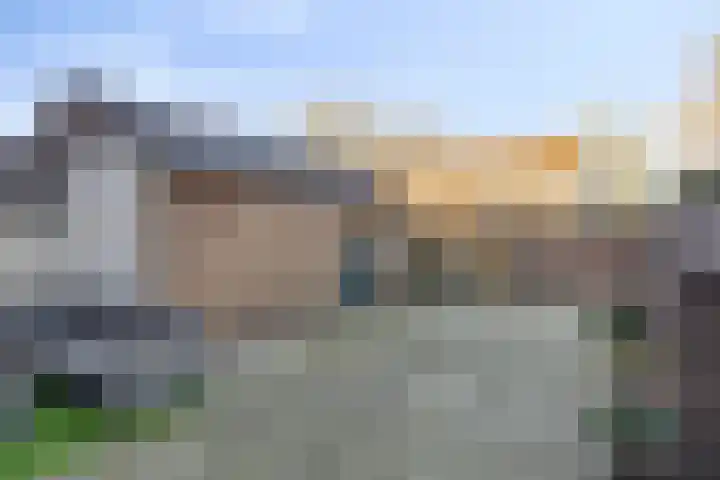 Gruttostraat 4 Epe thumbnail 26