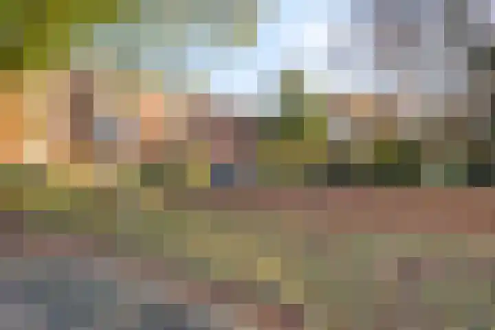 Gruttostraat 4 Epe thumbnail 31