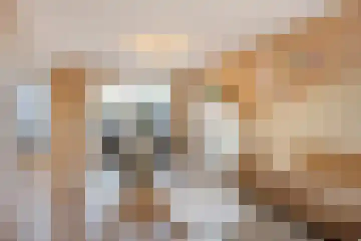 Gruttostraat 4 Epe thumbnail 7