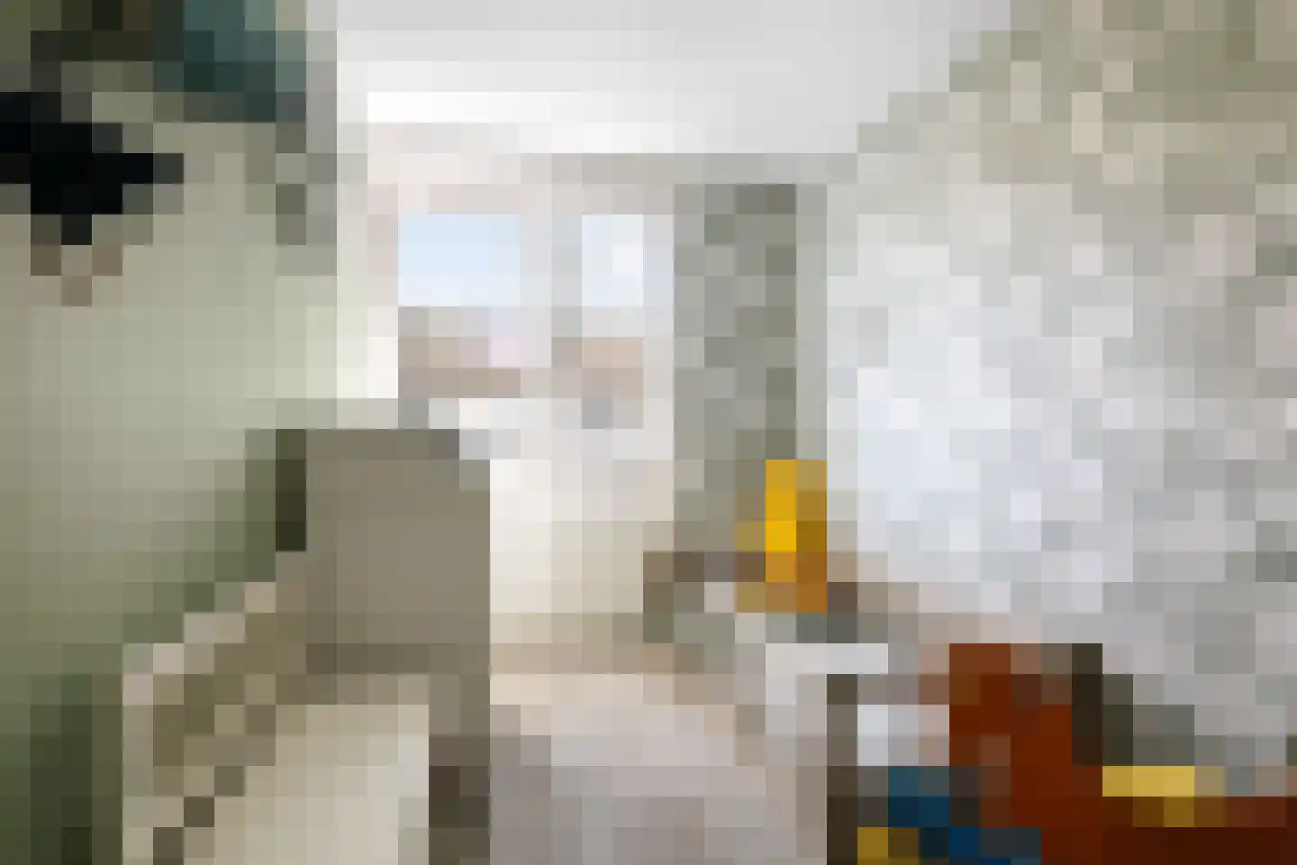 Gruttostraat 40 Brummen thumbnail 16
