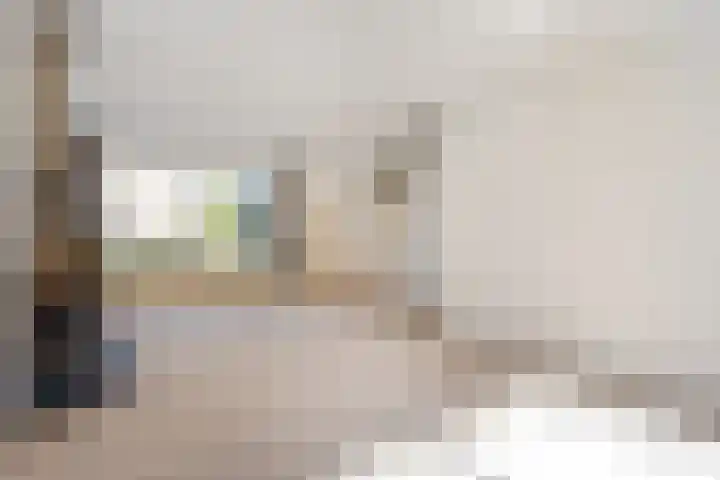 Gruttostraat 5 Ommen thumbnail 11