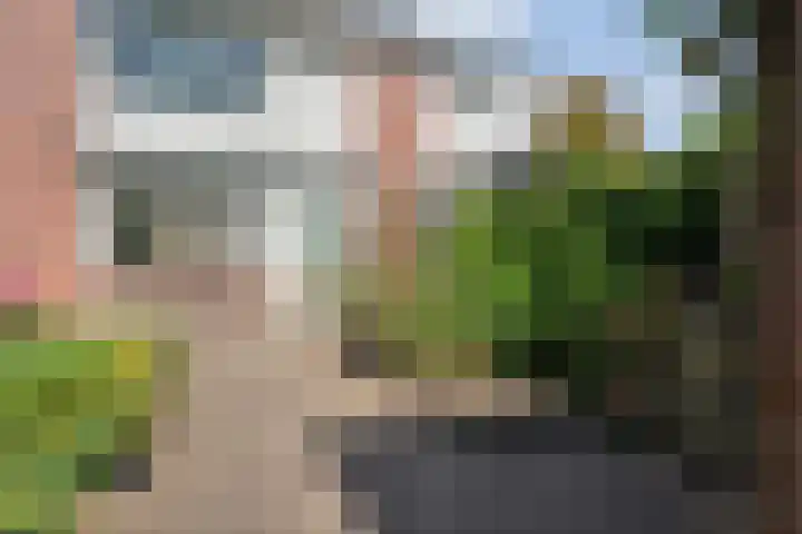 Gruttostraat 5 Ommen thumbnail 26