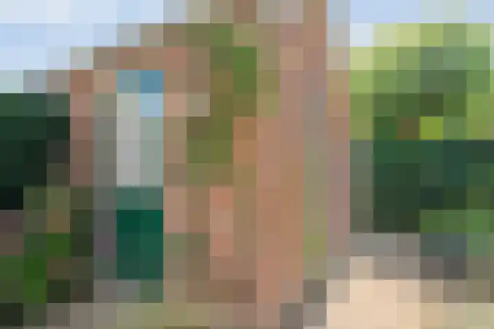 Gruttostraat 5 Ommen thumbnail 31