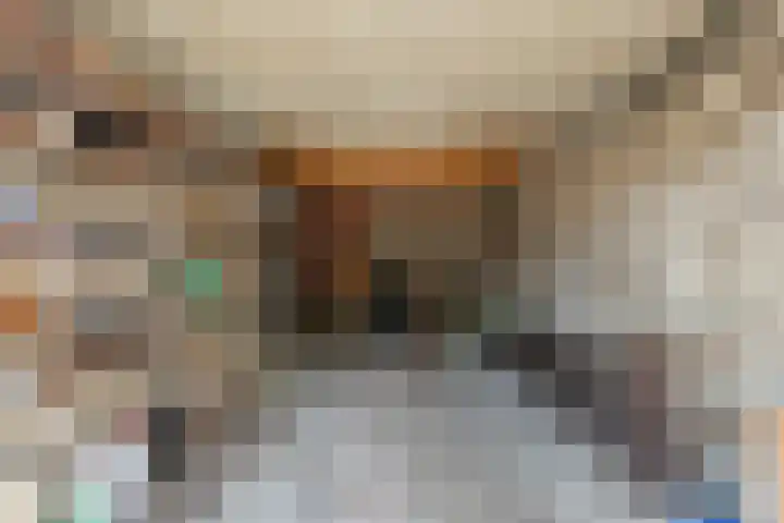 Gruttostraat 5 Ommen thumbnail 33