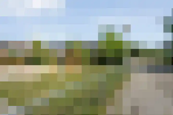 Gruttostraat 5 Ommen thumbnail 38