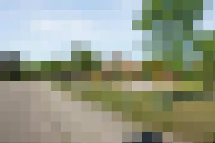 Gruttostraat 5 Ommen thumbnail 4
