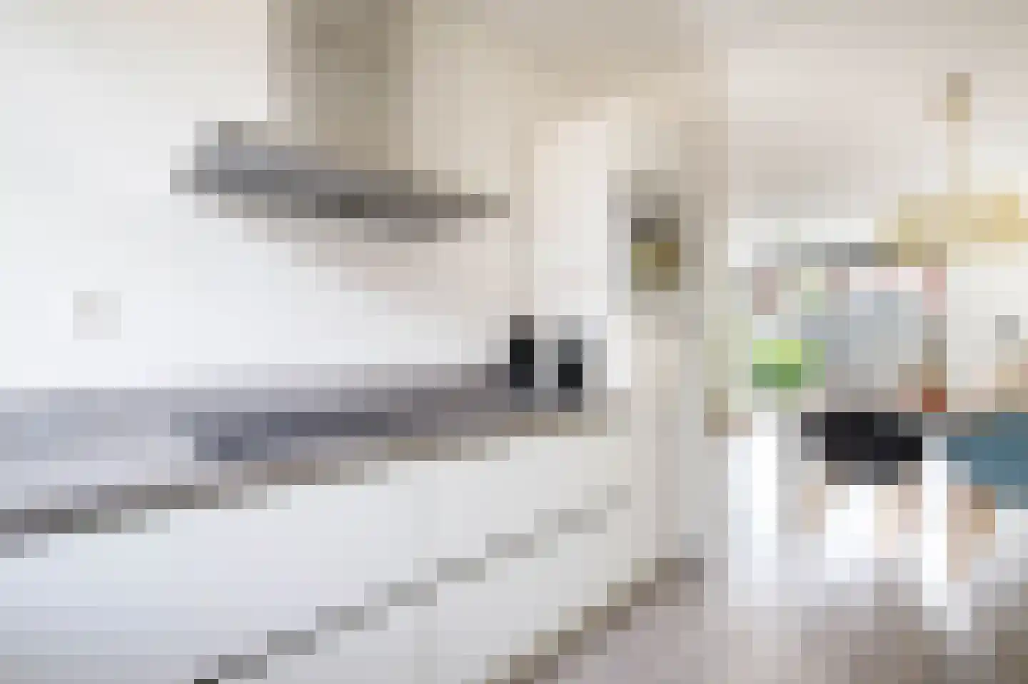 Gruttostraat 5 Schoonhoven thumbnail 15