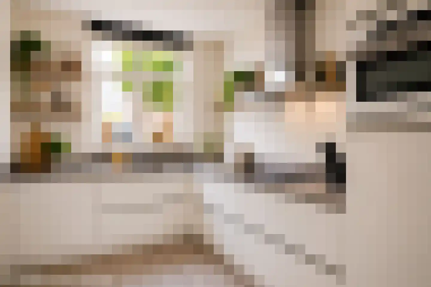 Gruttostraat 5 Schoonhoven thumbnail 16