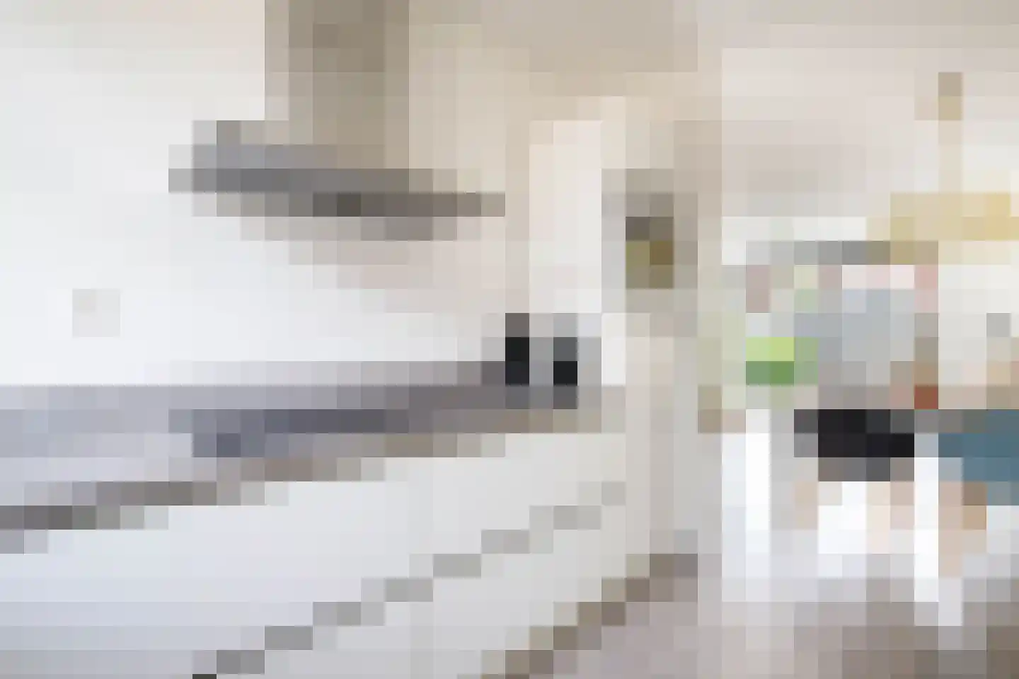 Gruttostraat 5 Schoonhoven thumbnail 18