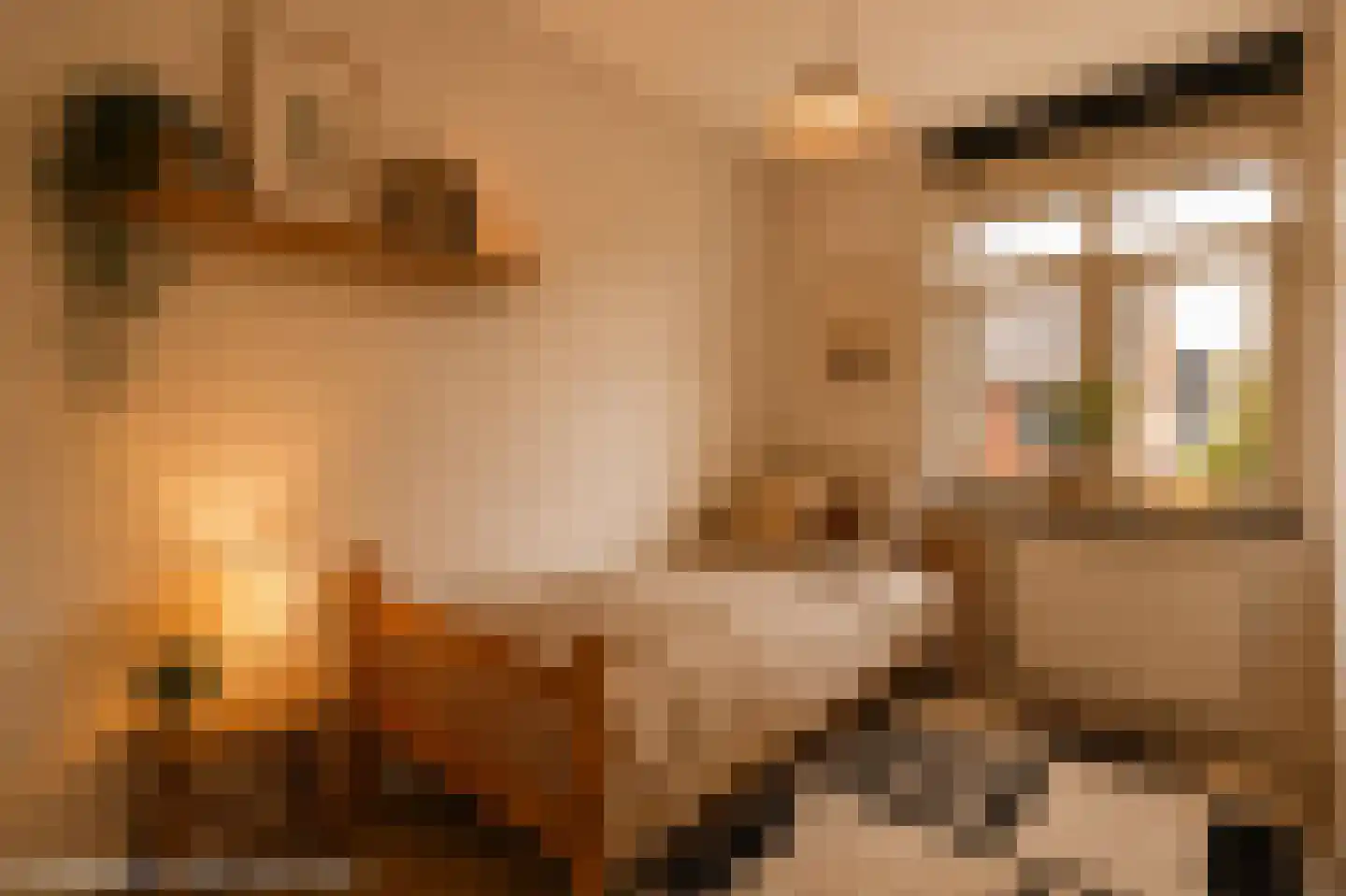 Gruttostraat 5 Schoonhoven thumbnail 28