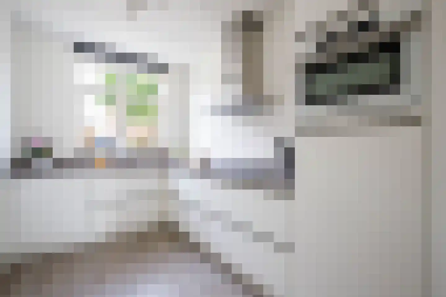 Gruttostraat 5 Schoonhoven thumbnail 4