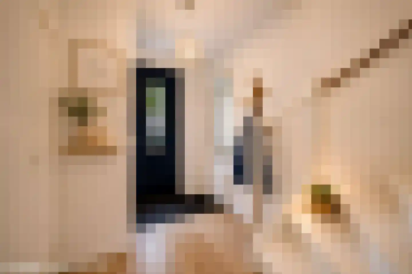 Gruttostraat 5 Schoonhoven thumbnail 7