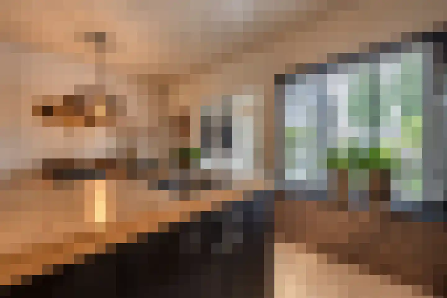 Gruttostraat 56 Strijen thumbnail 10