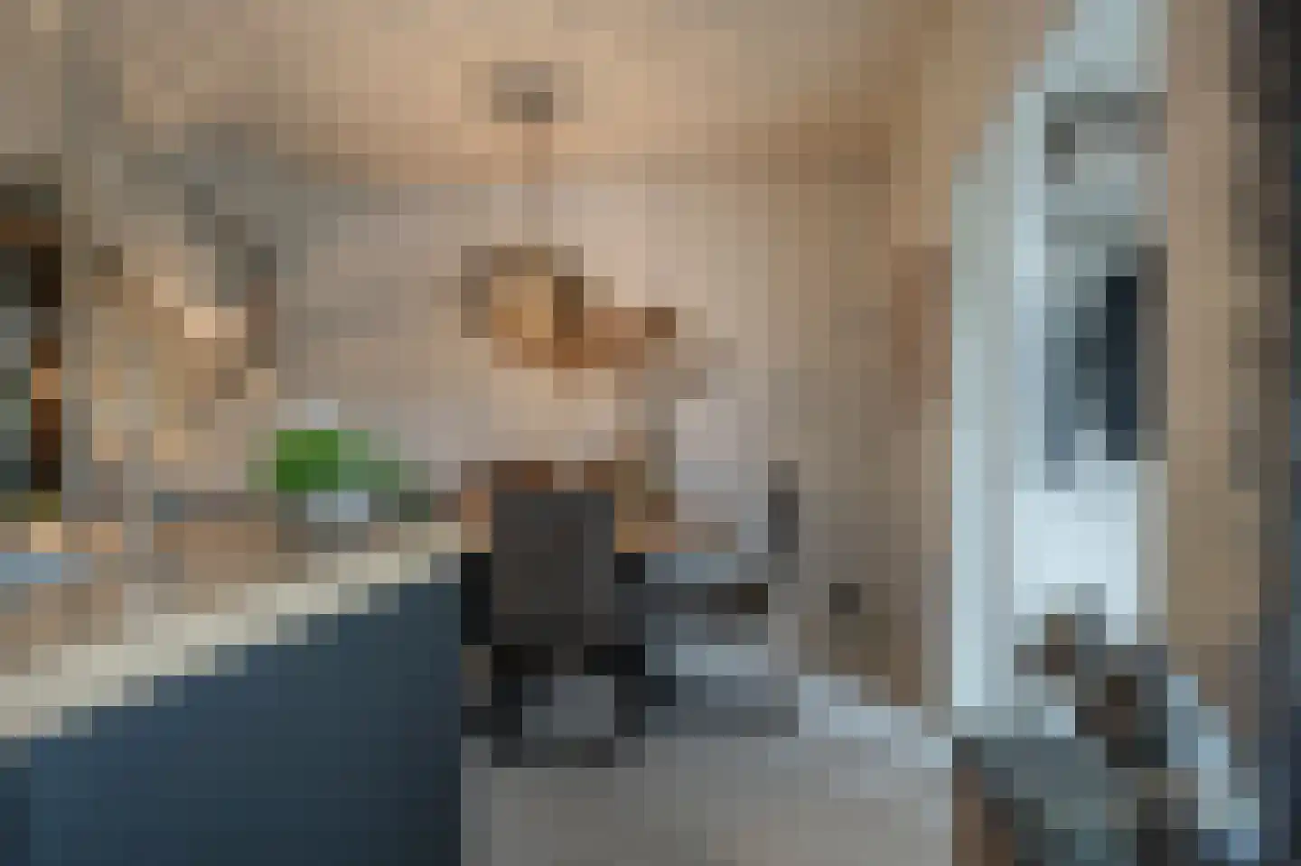 Gruttostraat 56 Strijen thumbnail 11