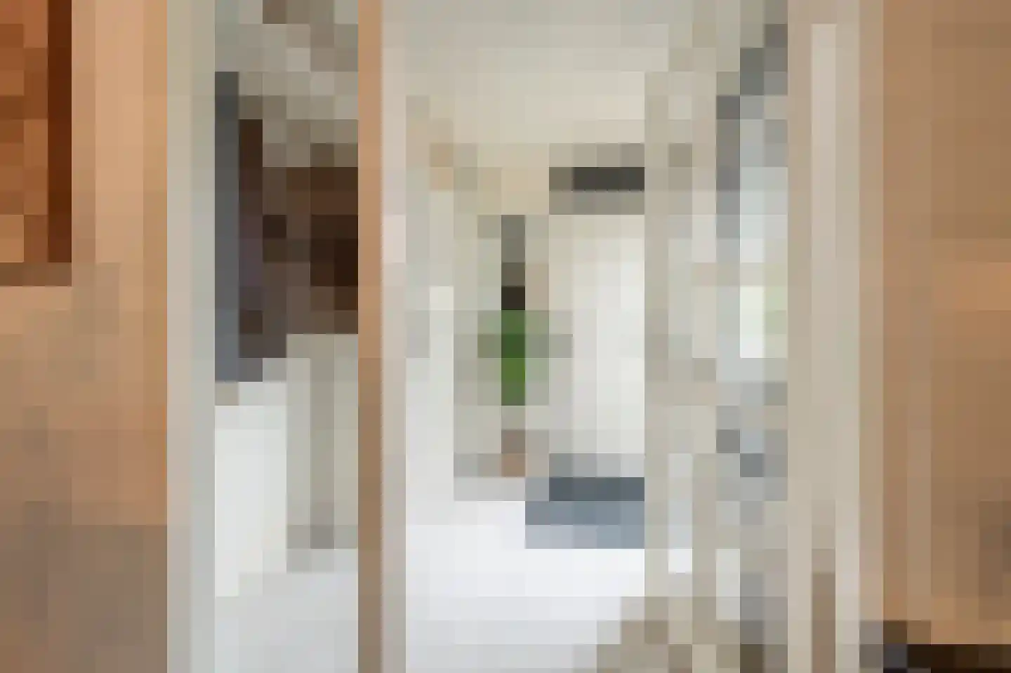 Gruttostraat 56 Strijen thumbnail 13