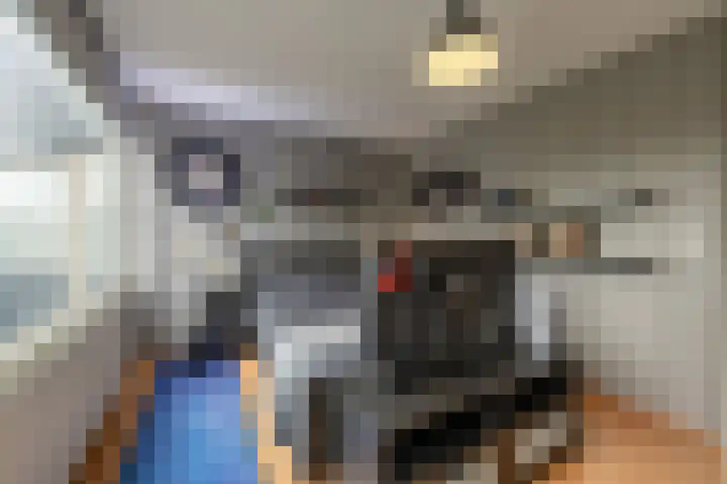 Gruttostraat 56 Strijen thumbnail 15